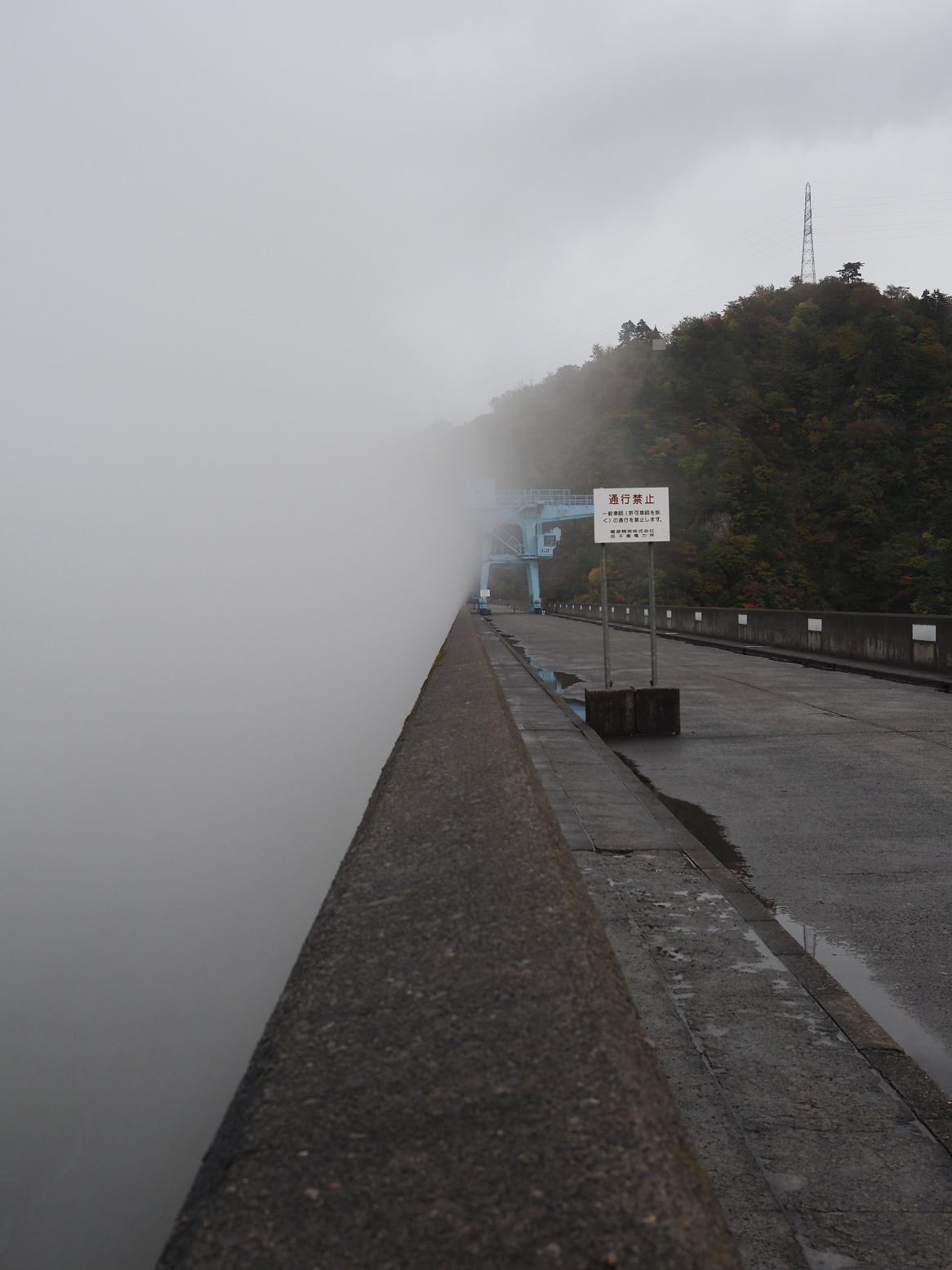 PA200840.jpg