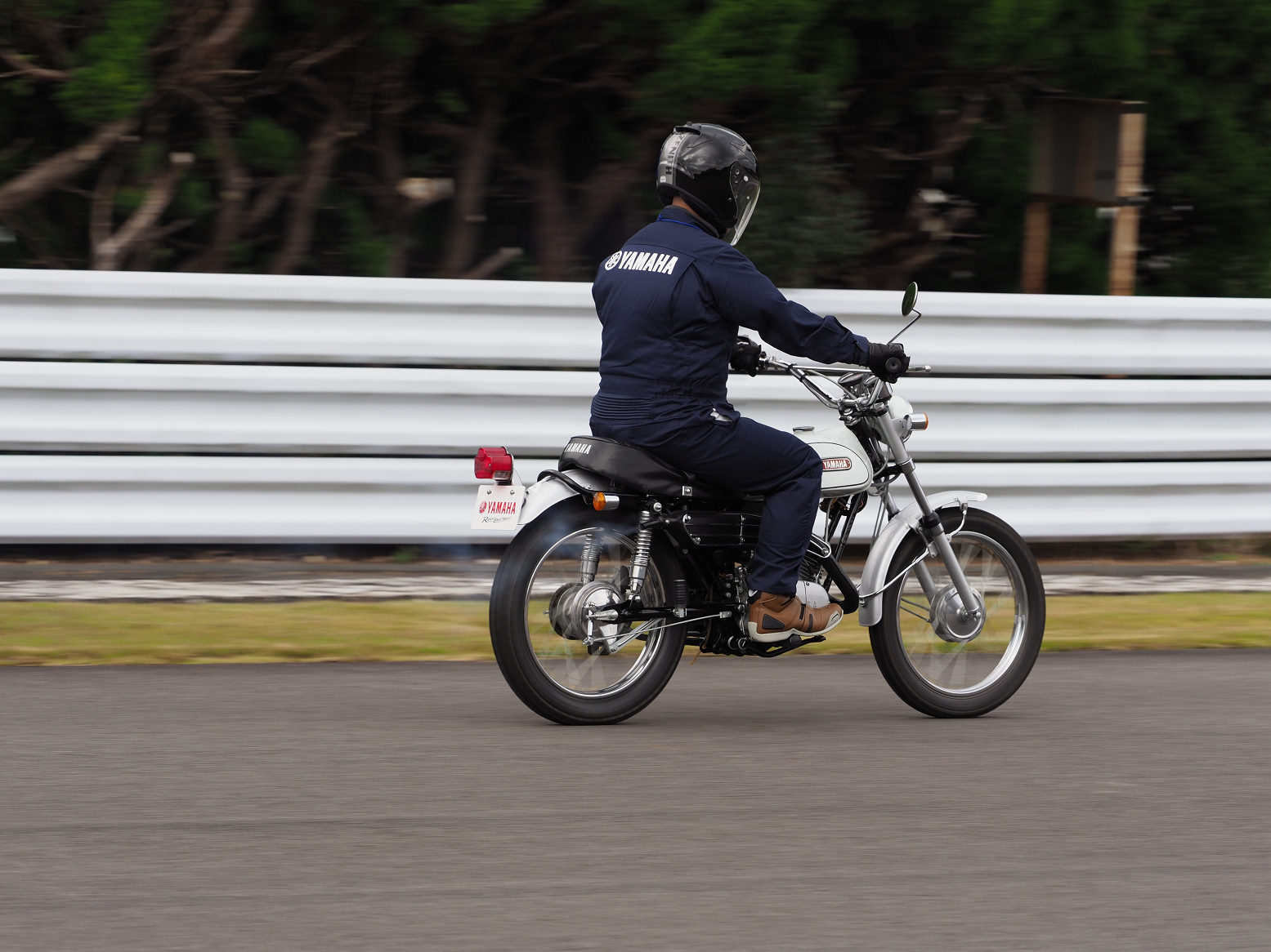 PB030611.jpg