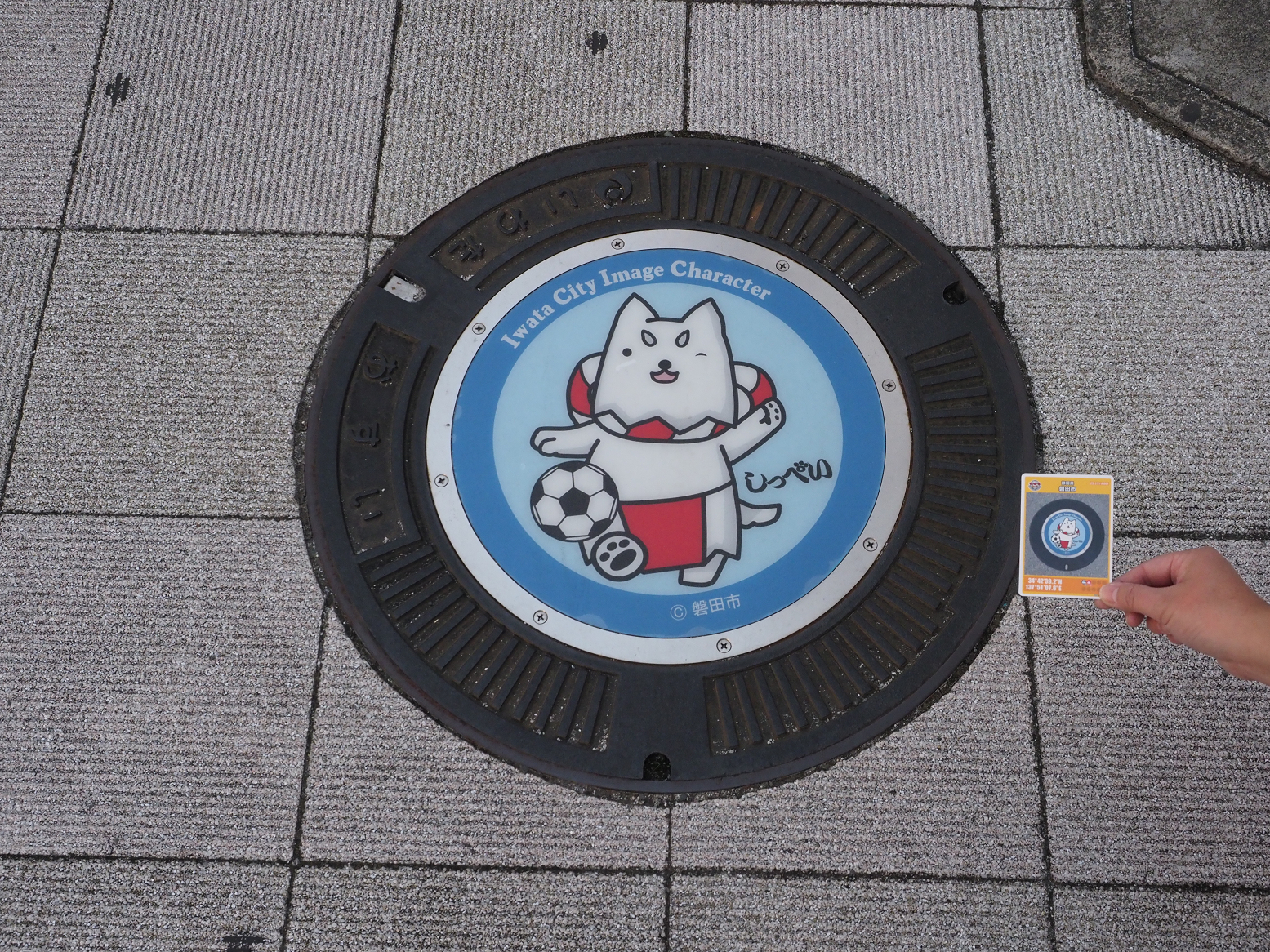 PB032050.jpg