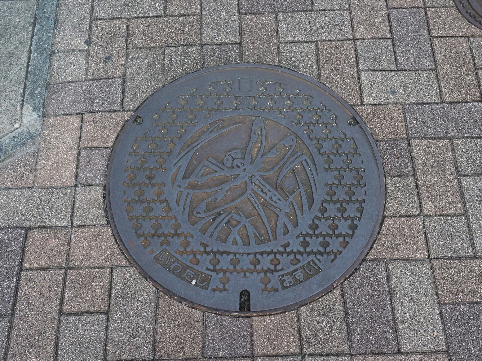 PB032051.jpg