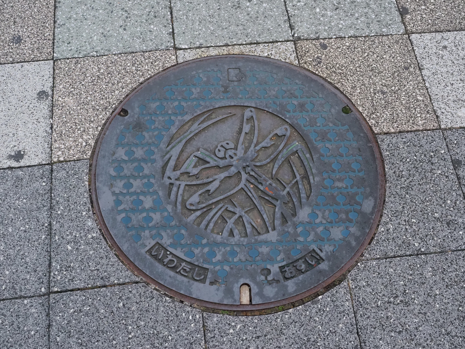 PB032052.jpg