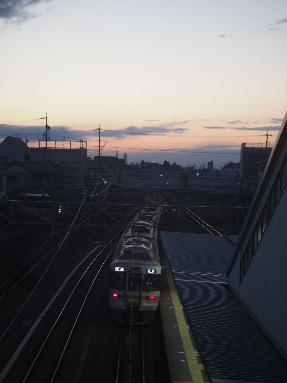PB032084.jpg
