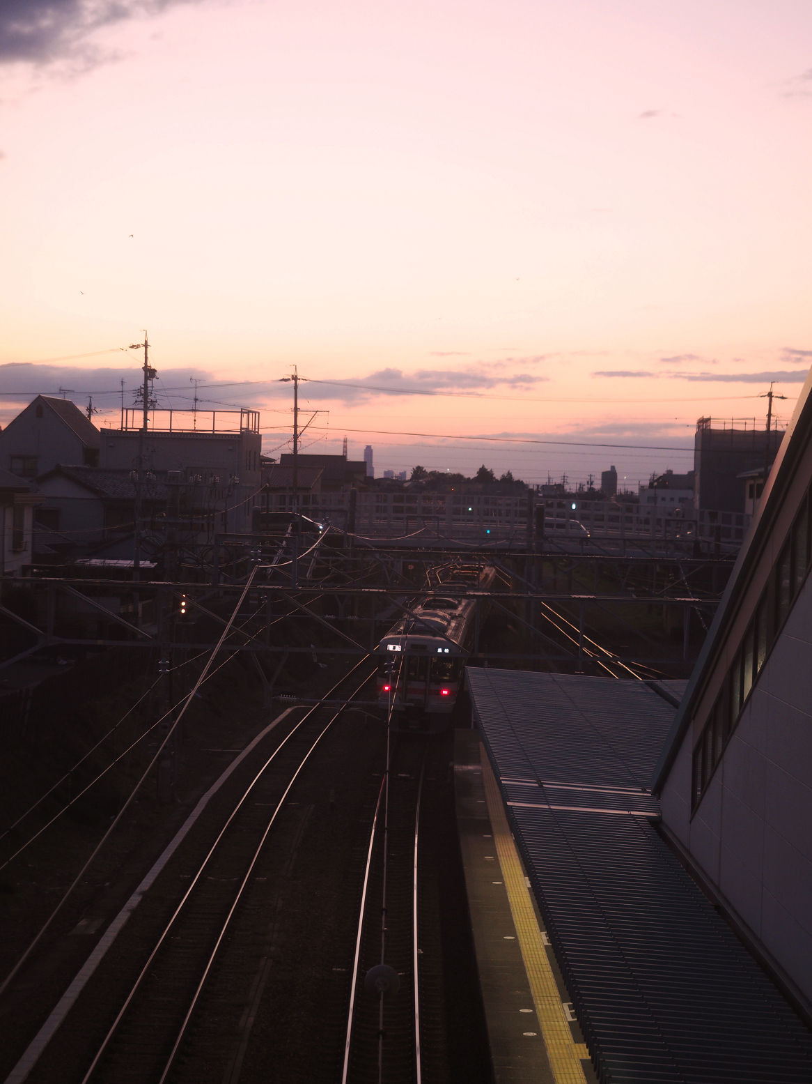 PB032085.jpg