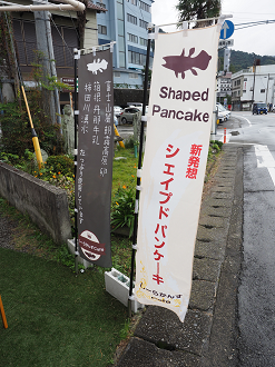 PB042182_thumb.png