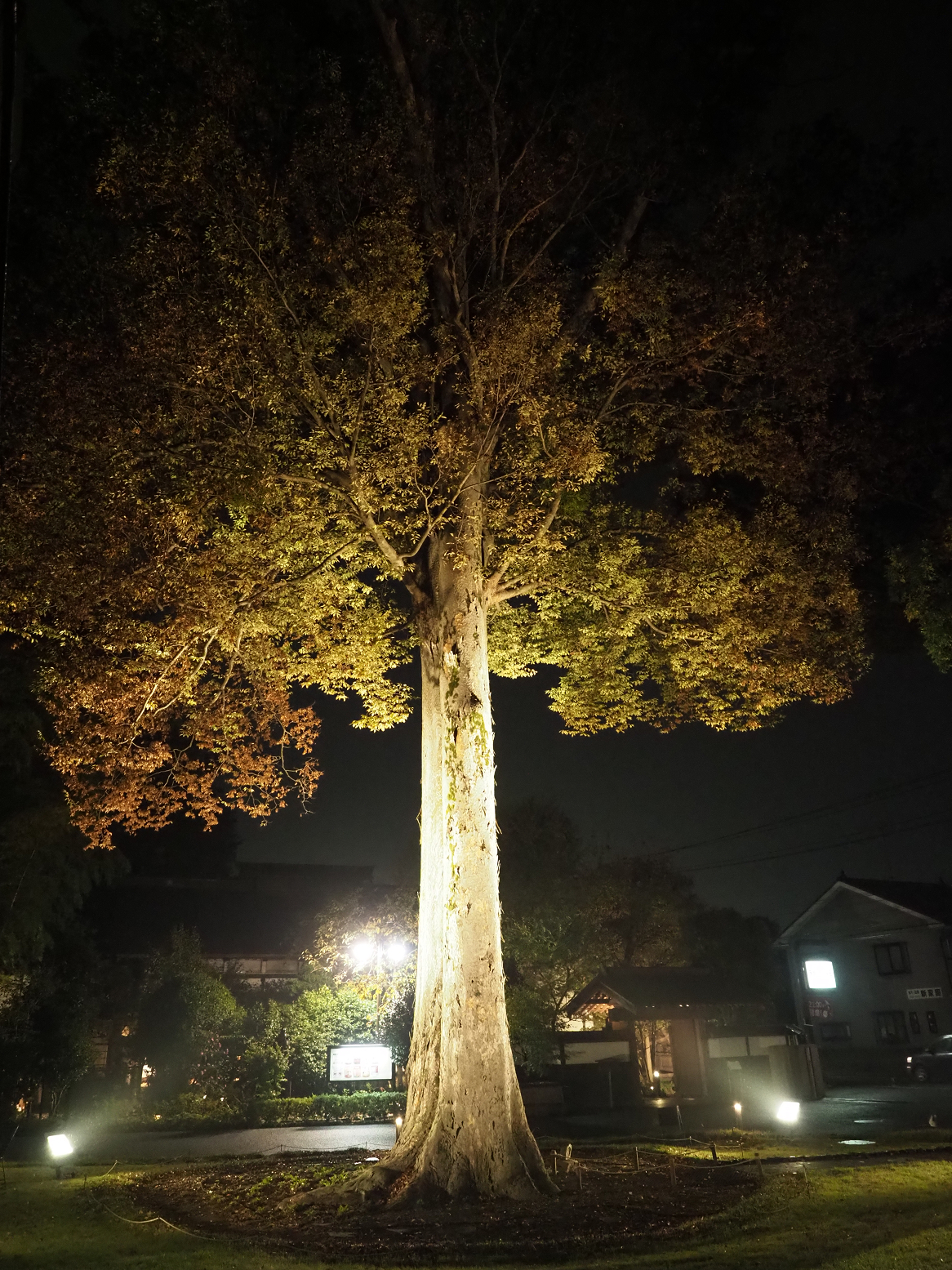 PB042220.jpg