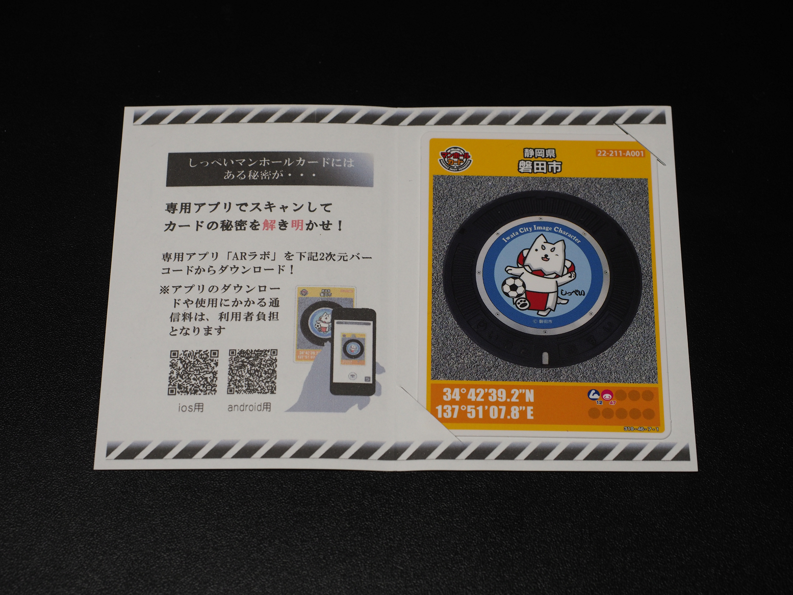 PB042306.jpg