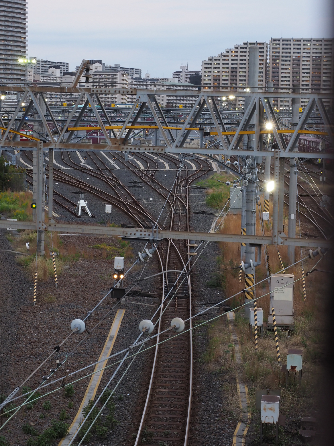 PB102257.jpg