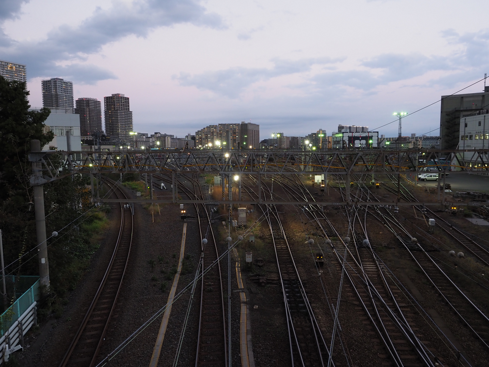 PB102263.jpg