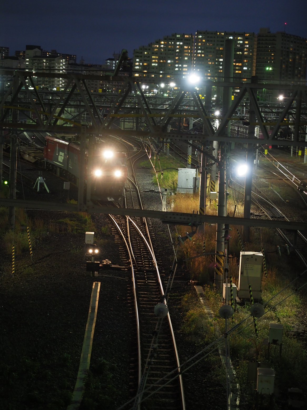 PB102289.jpg