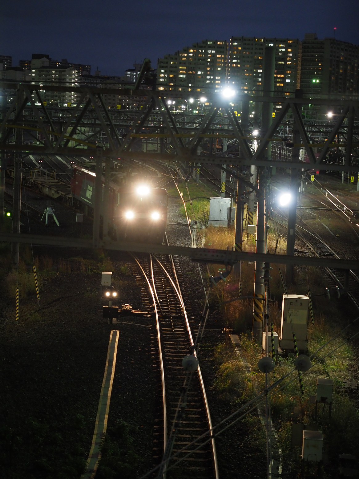 PB102290.jpg