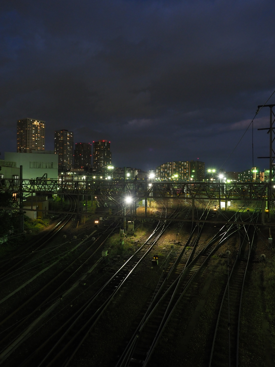 PB102308.jpg