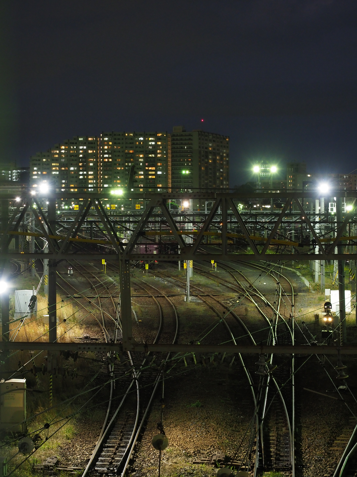PB102309.jpg
