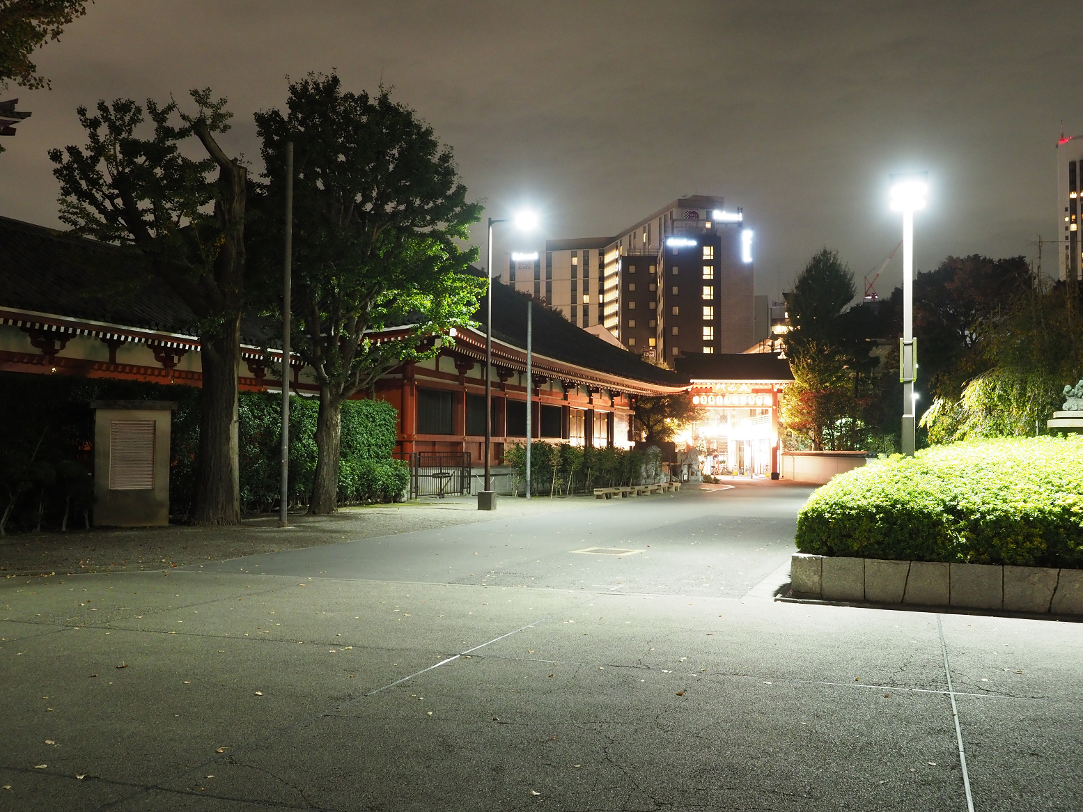 PB112541.jpg