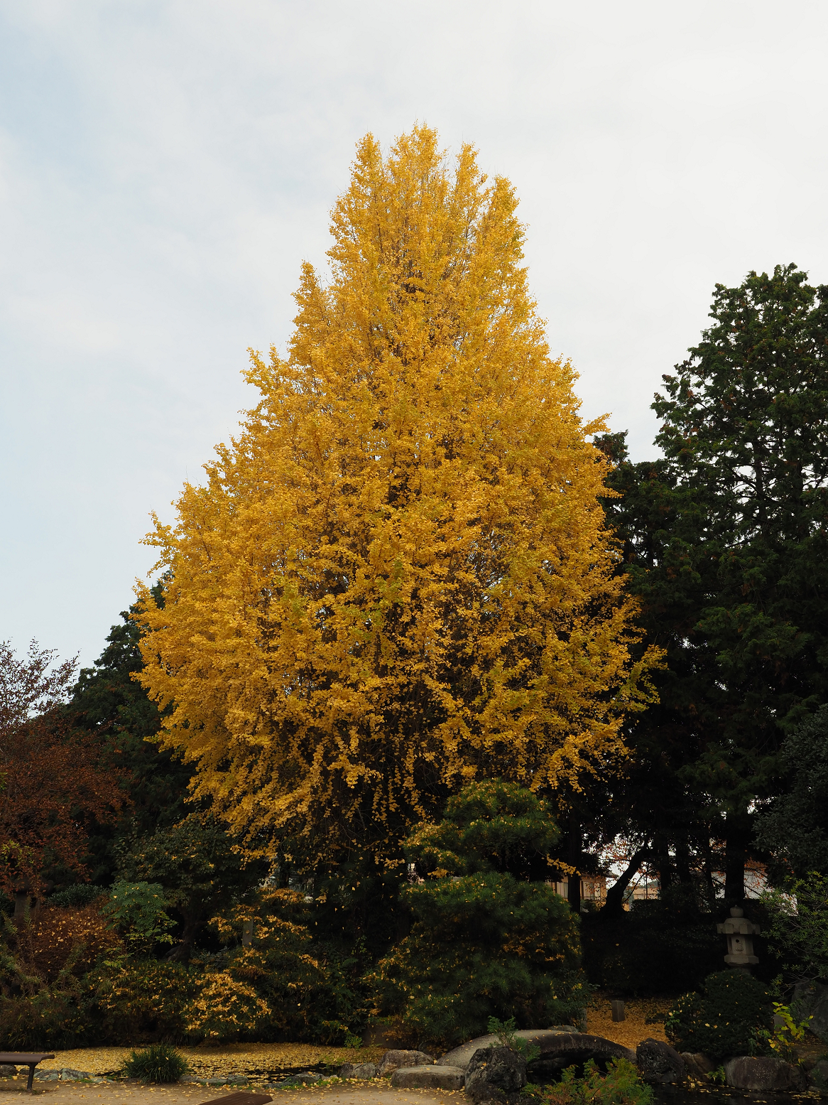 PB180079.jpg