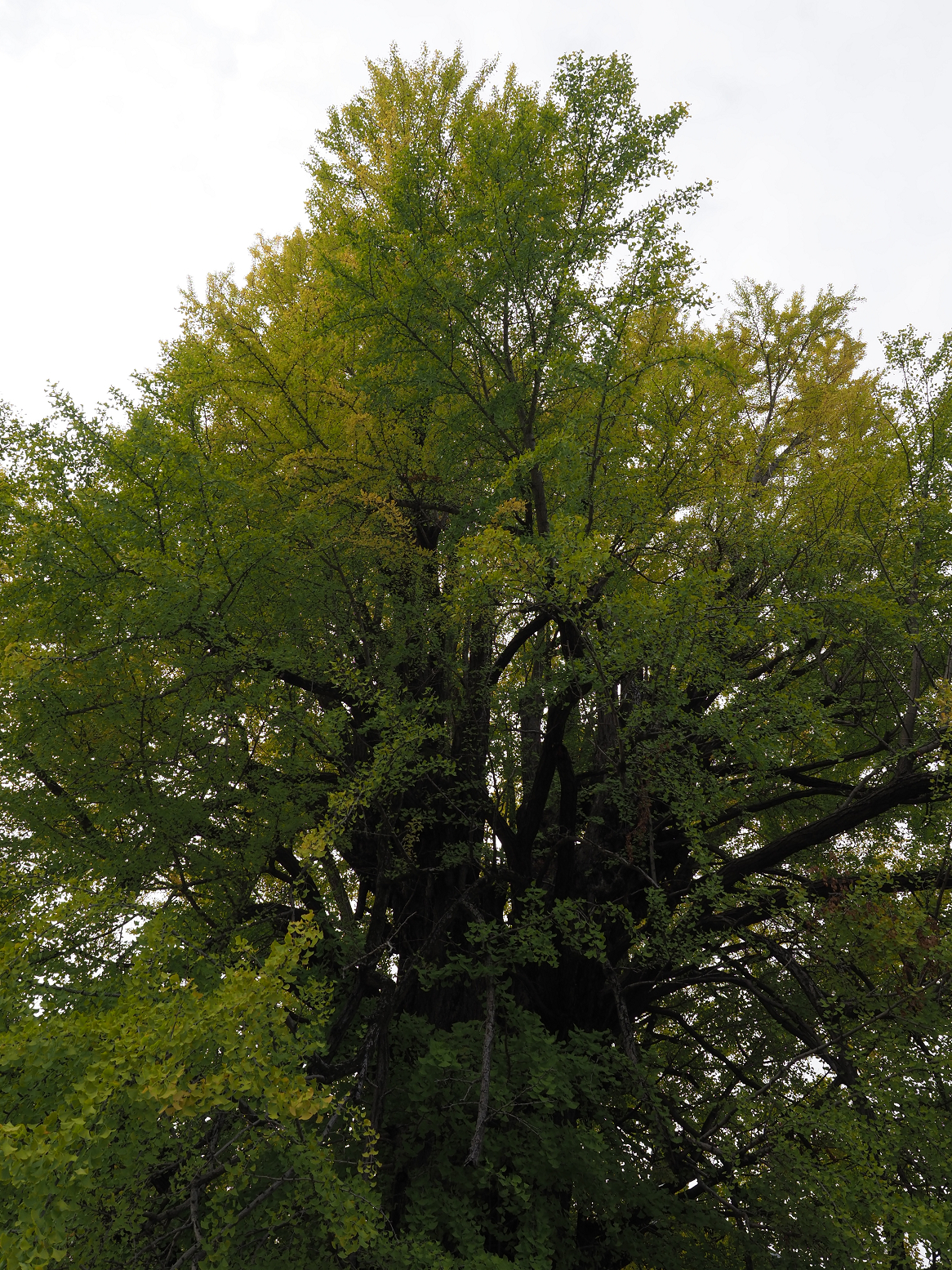 PB180084.jpg
