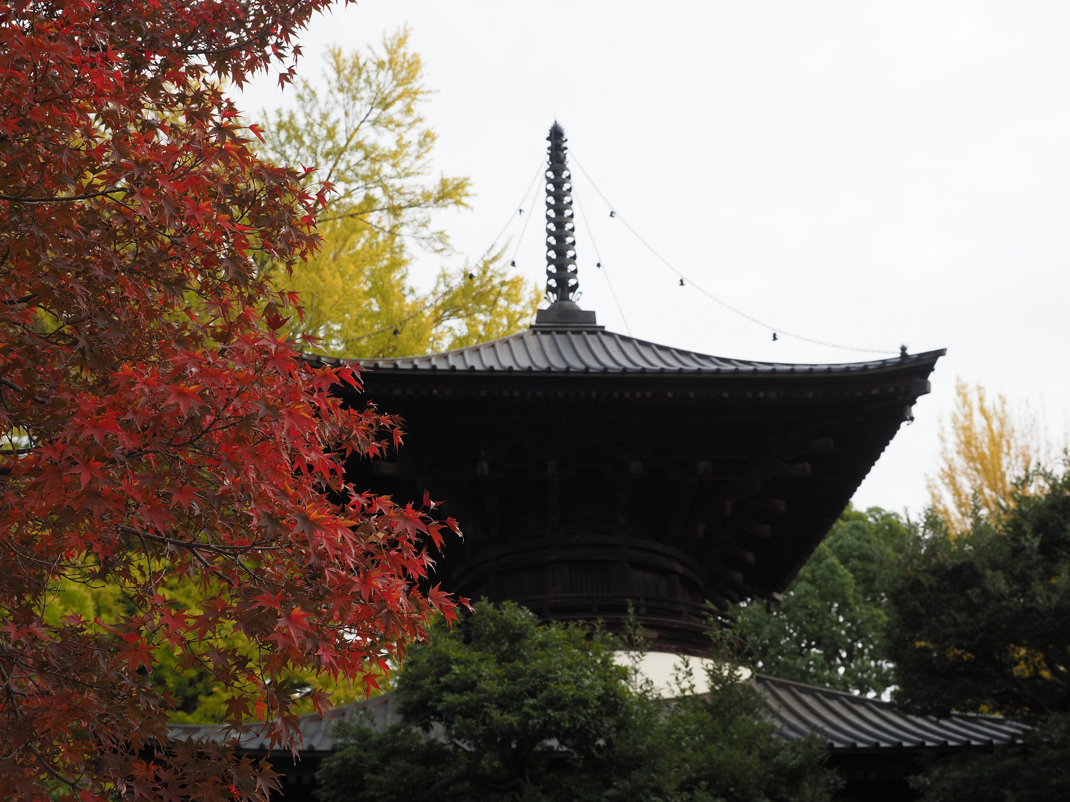 PB180087.jpg