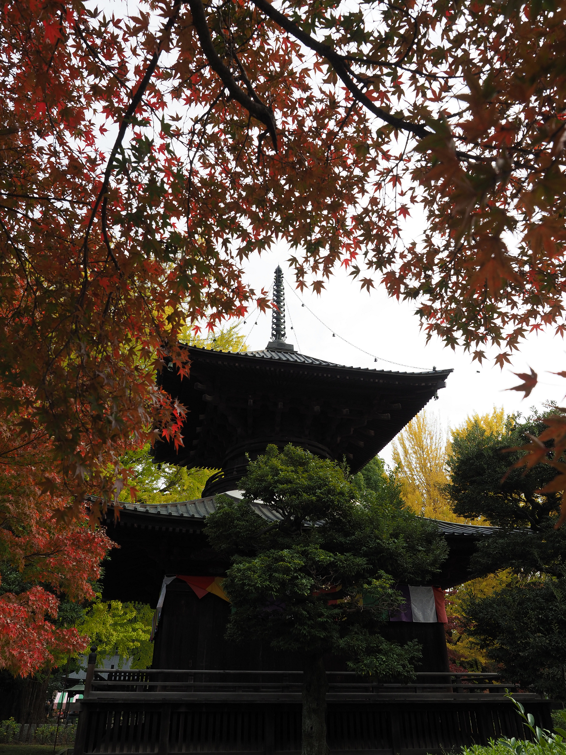 PB180092.jpg