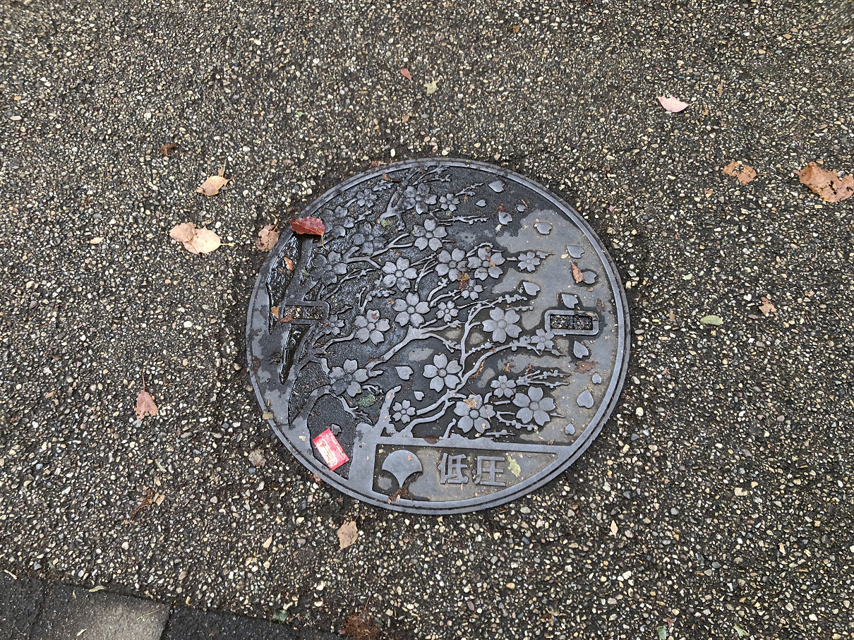 PB225102-03.jpg