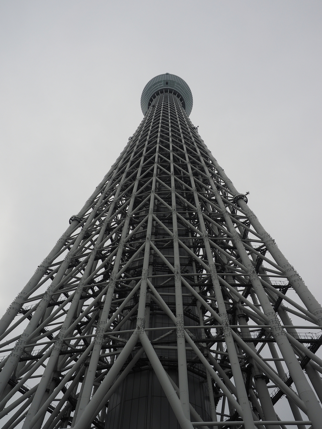 PB225110.jpg