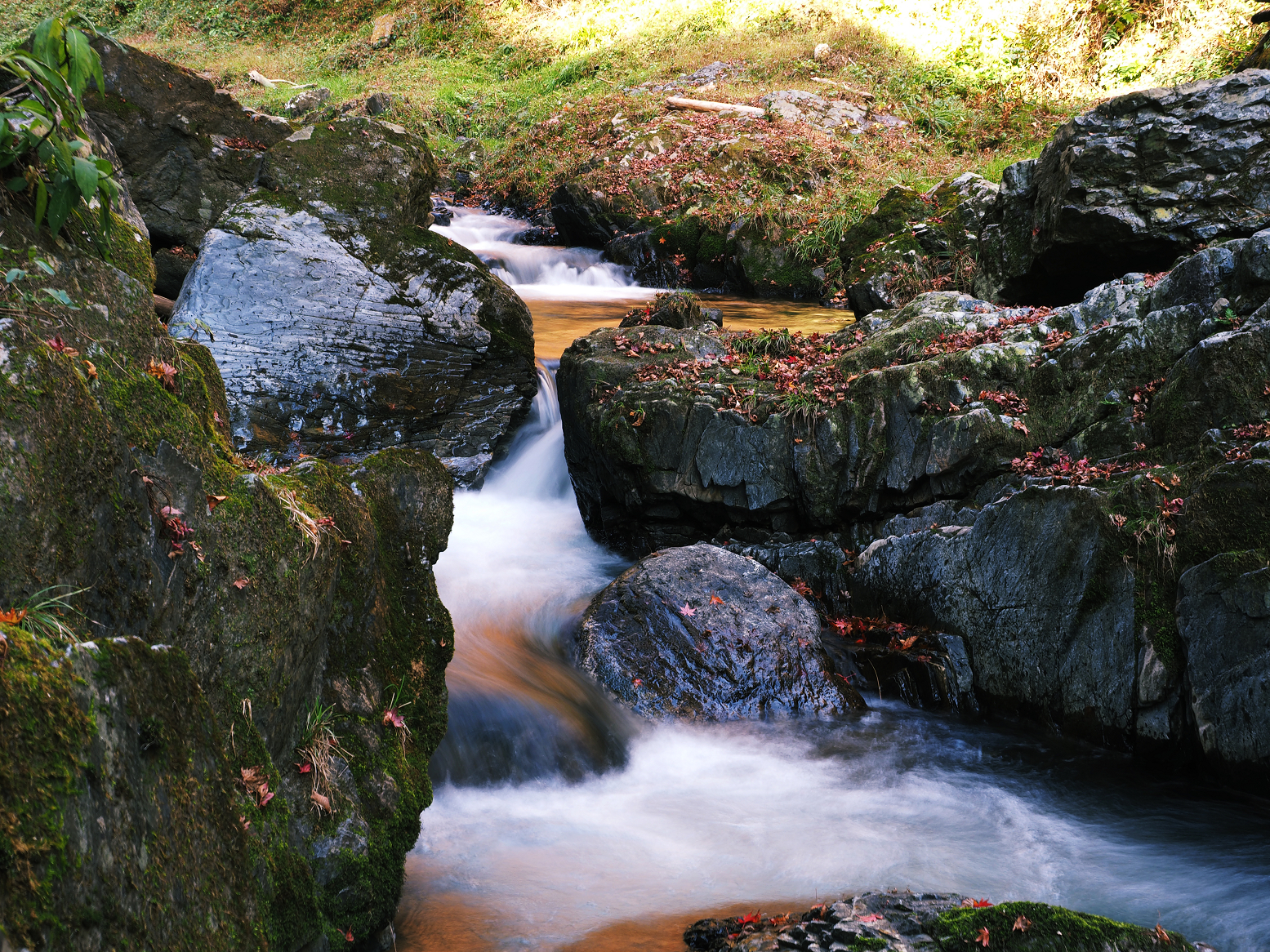 PB240109.jpg