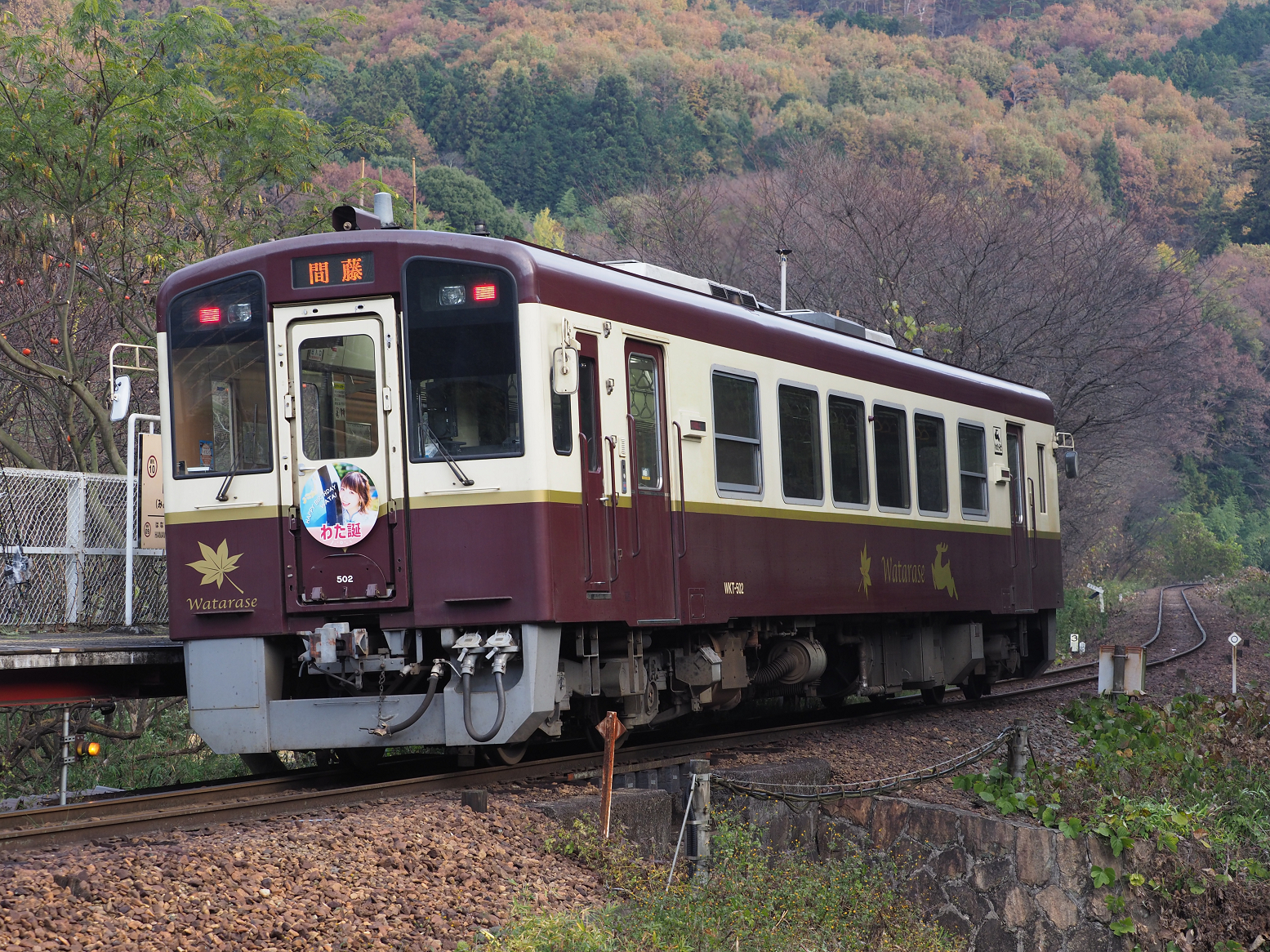 PB250168.jpg