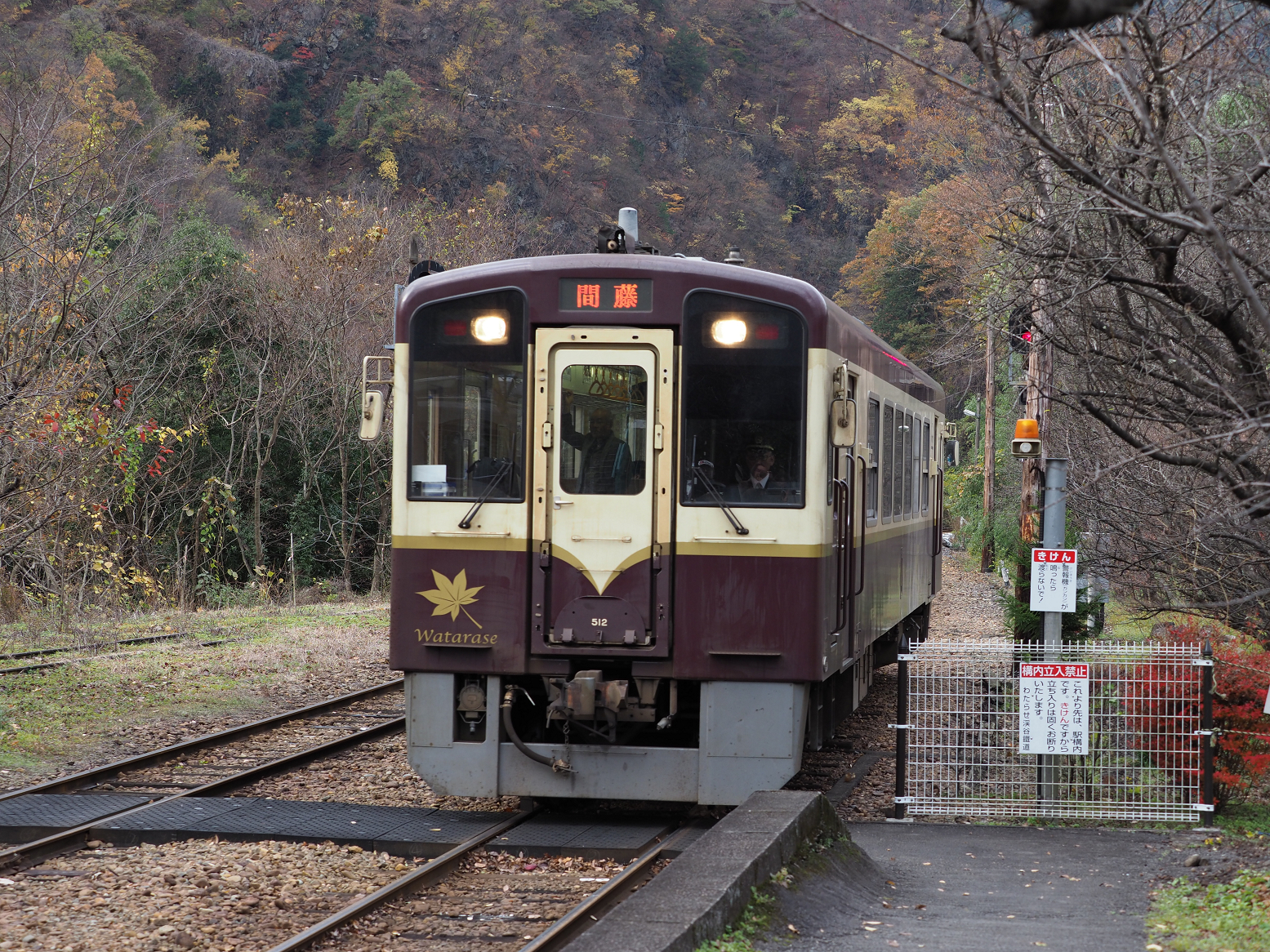 PB250266.jpg