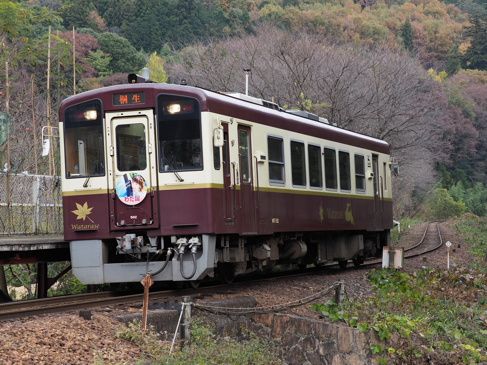PB250302.jpg