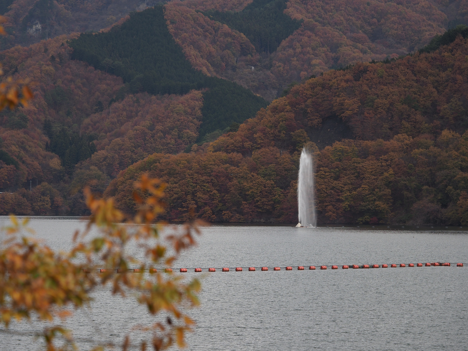 PB250323.jpg