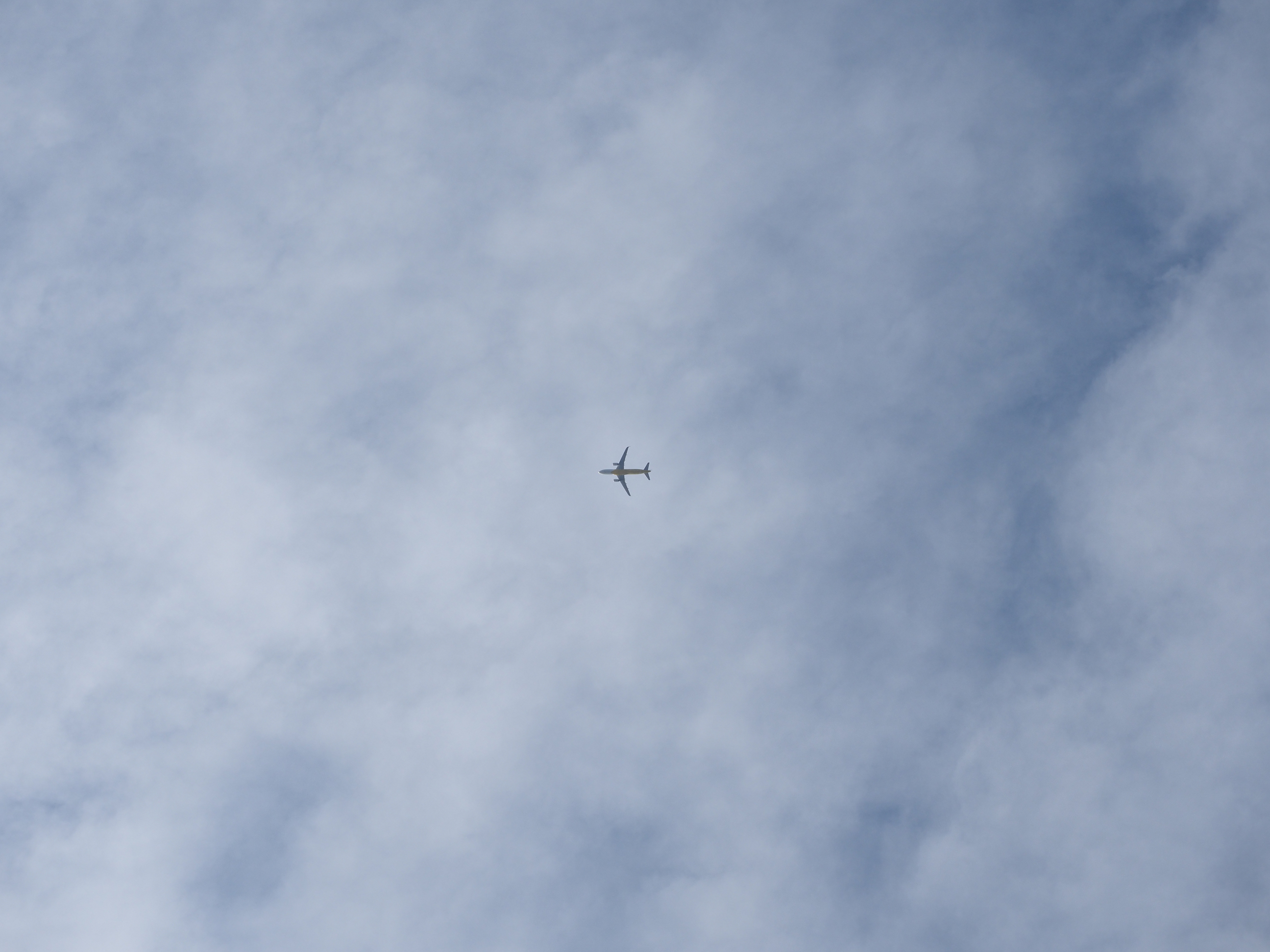 PC010059.jpg