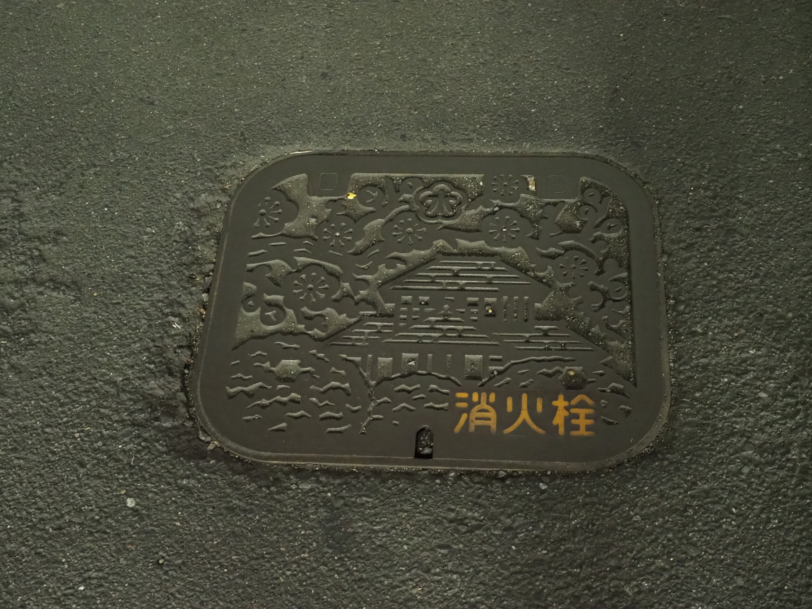 PC010110.jpg