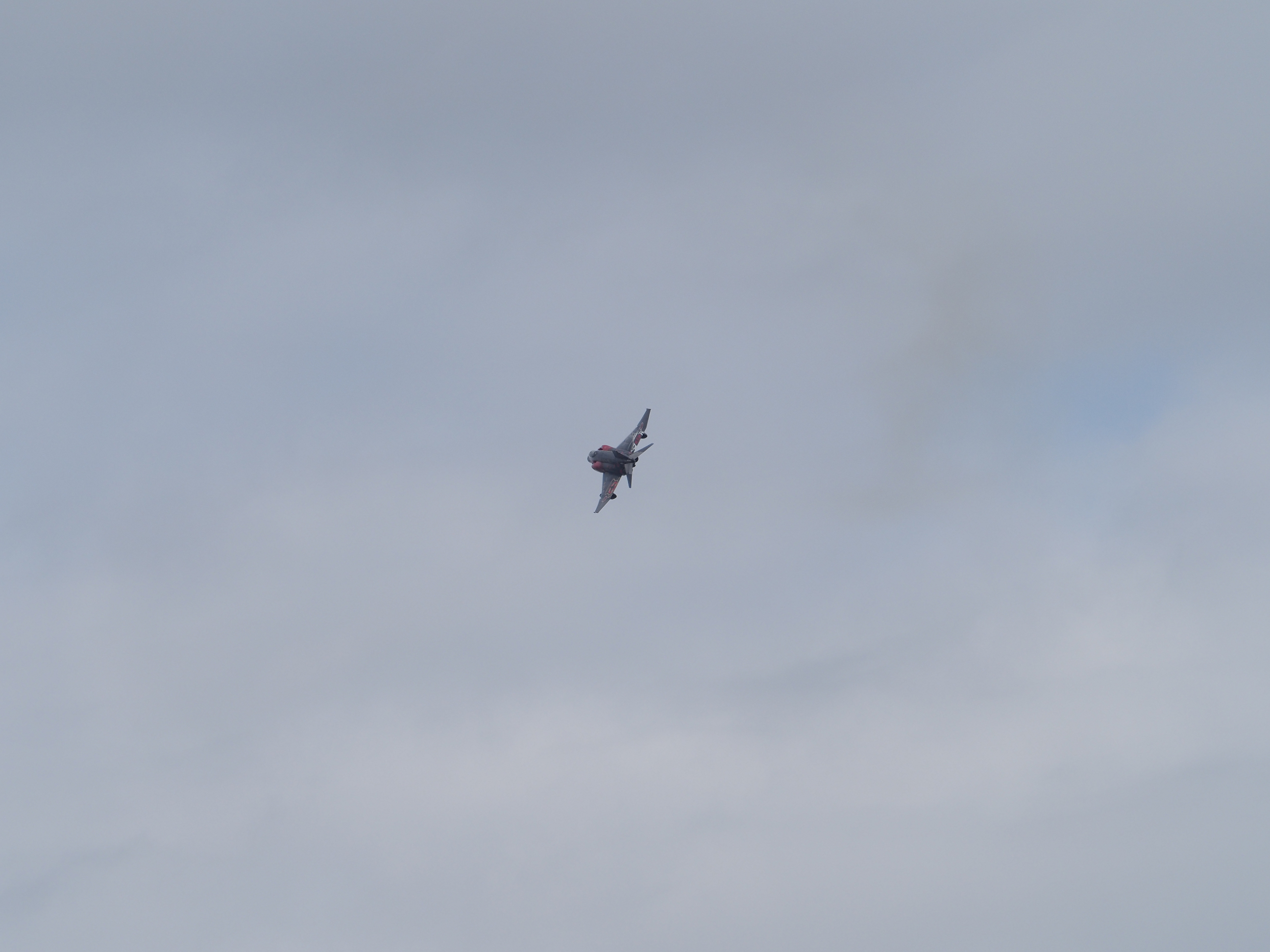 PC020831.jpg