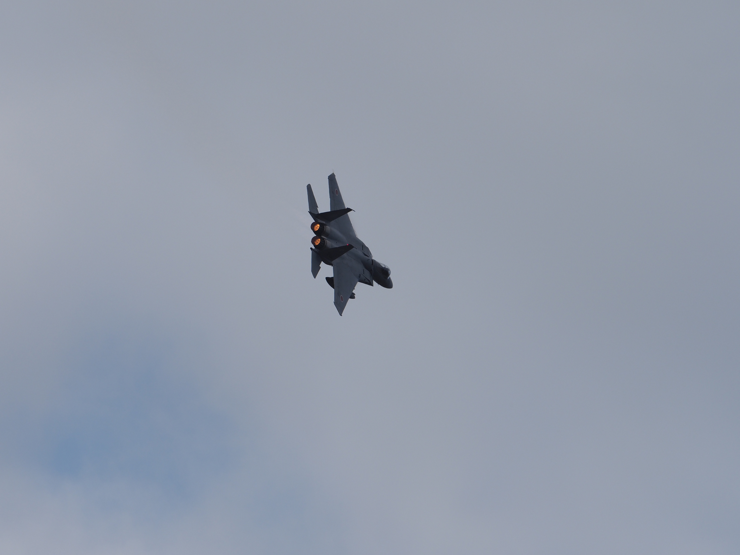 PC021411.jpg