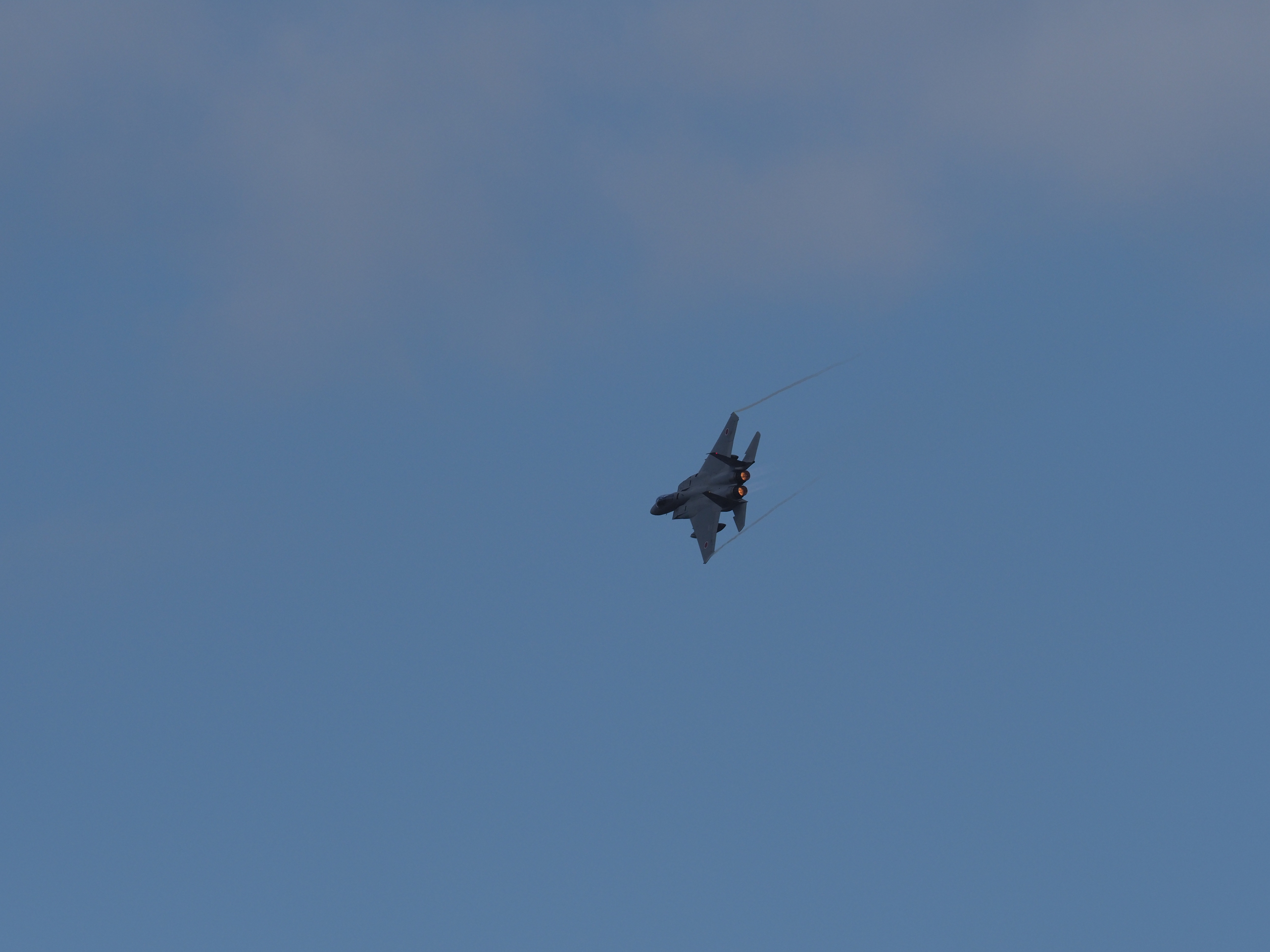 PC021803.jpg