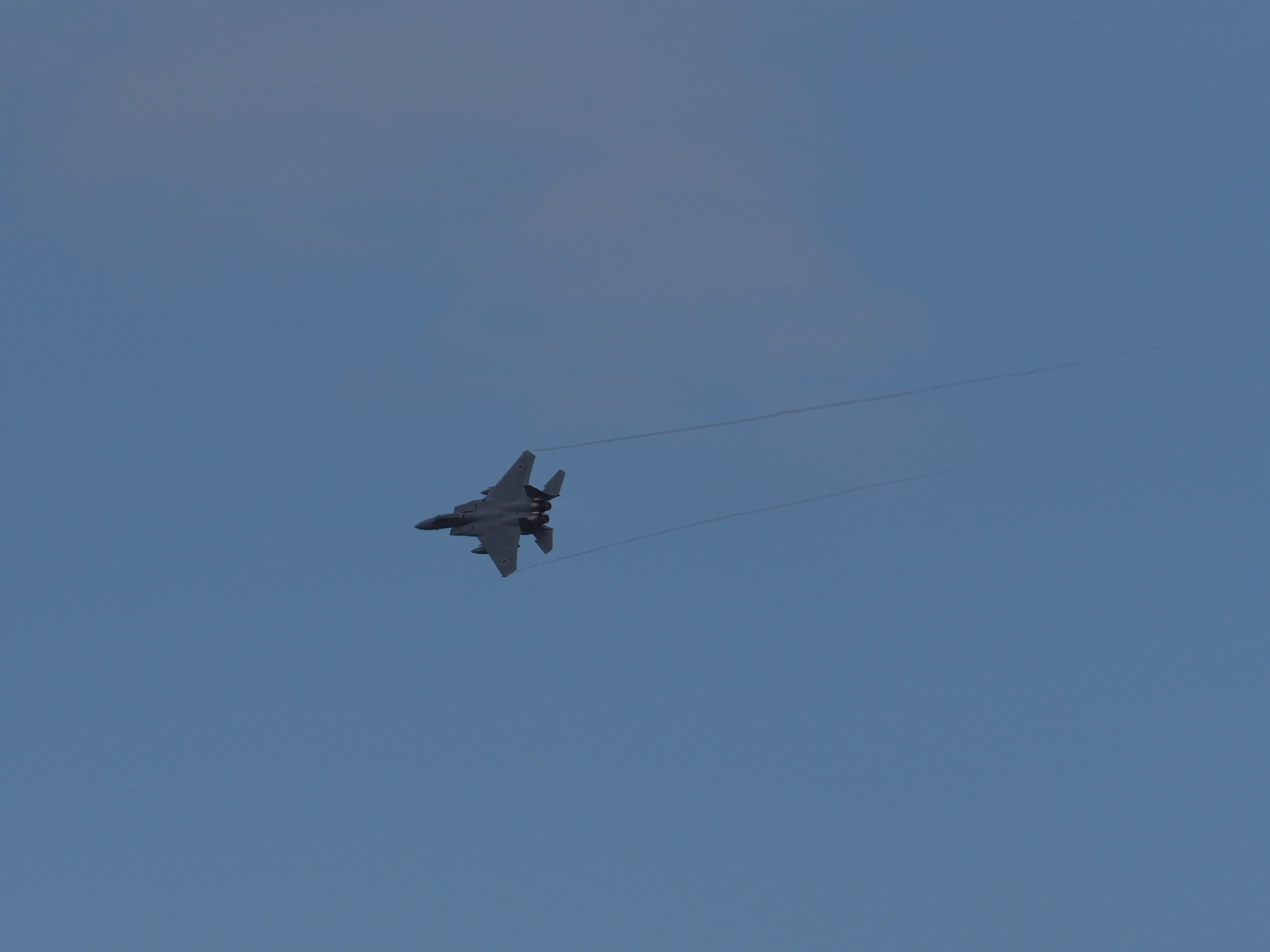 PC021813.jpg