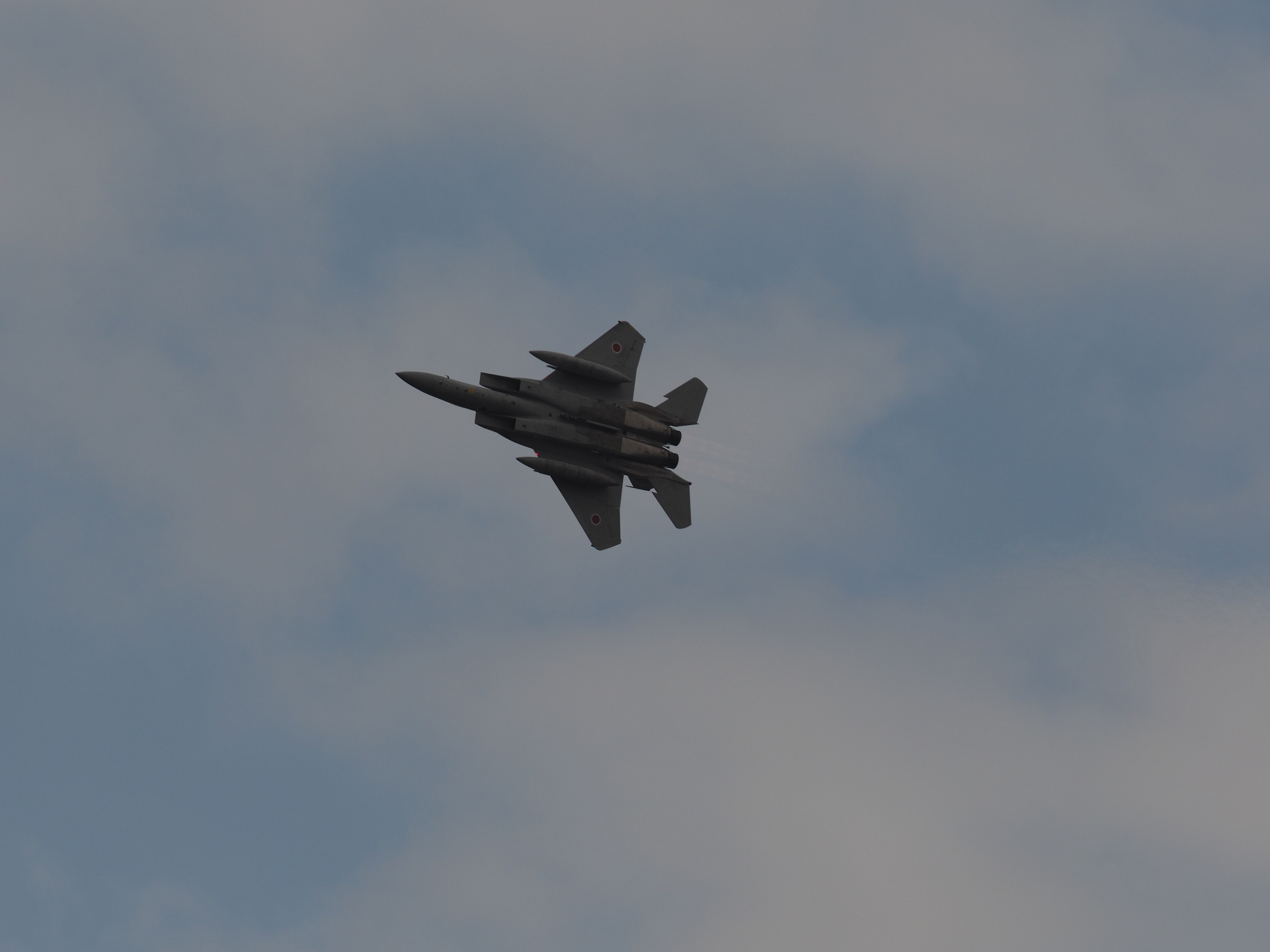 PC021825.jpg