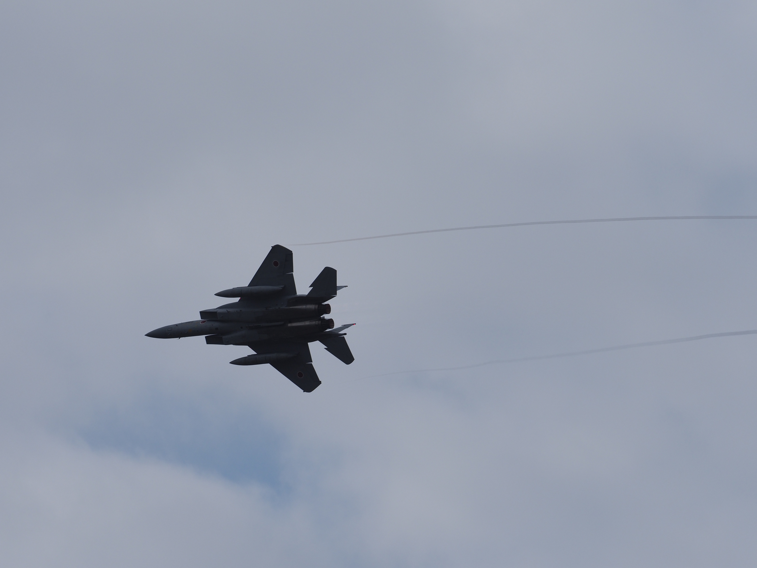 PC021911.jpg