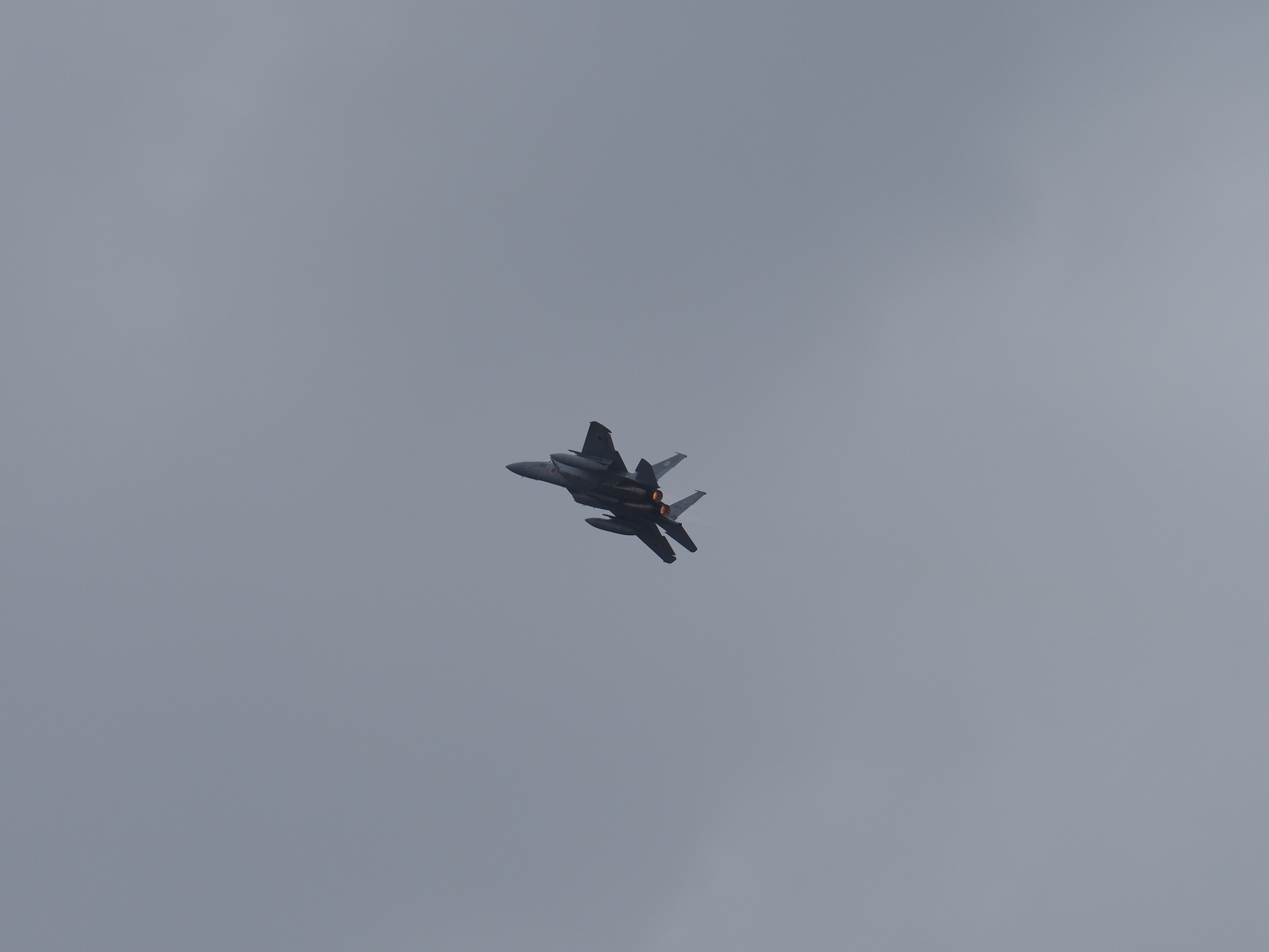 PC021917.jpg