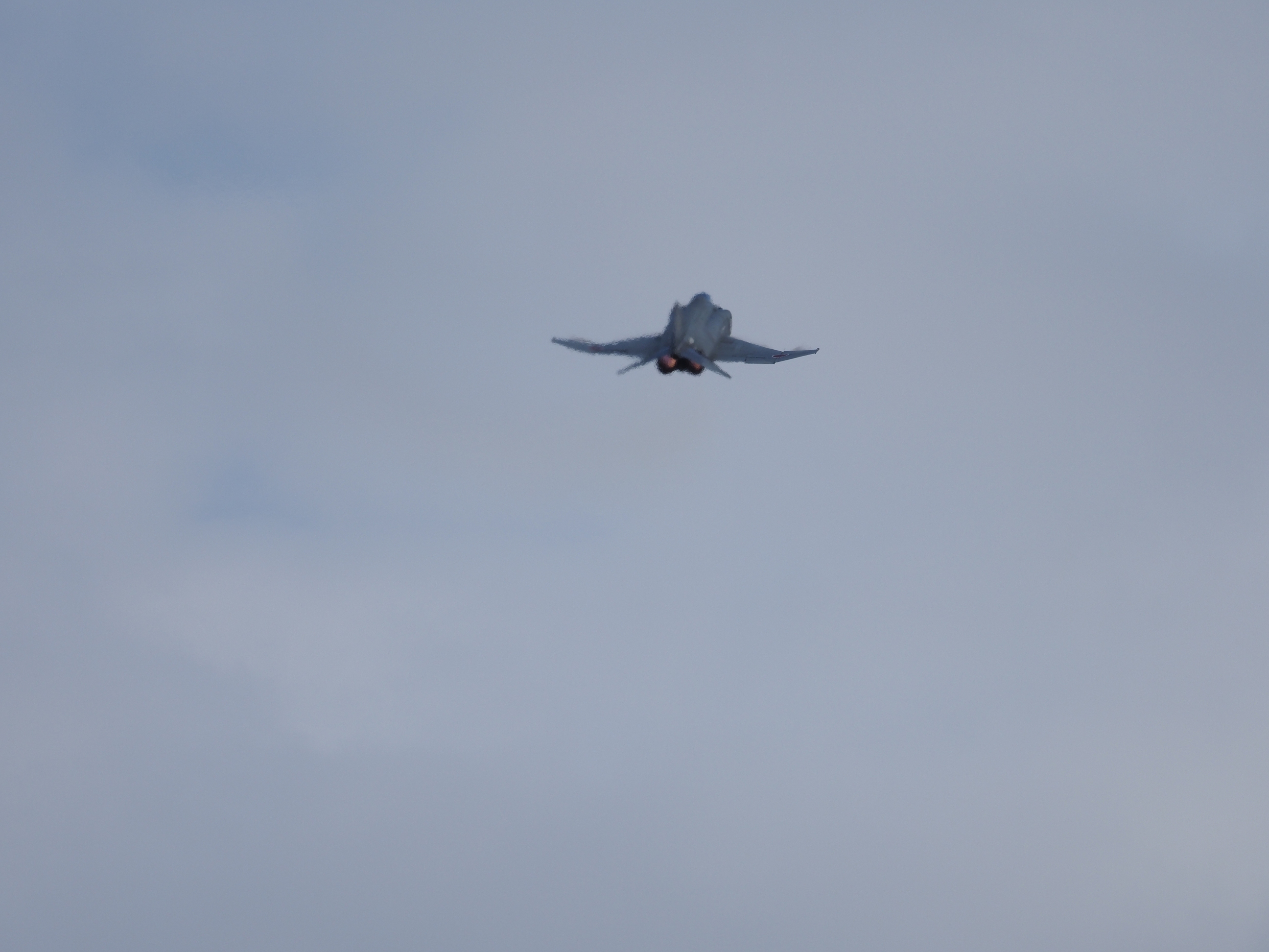 PC022485.jpg