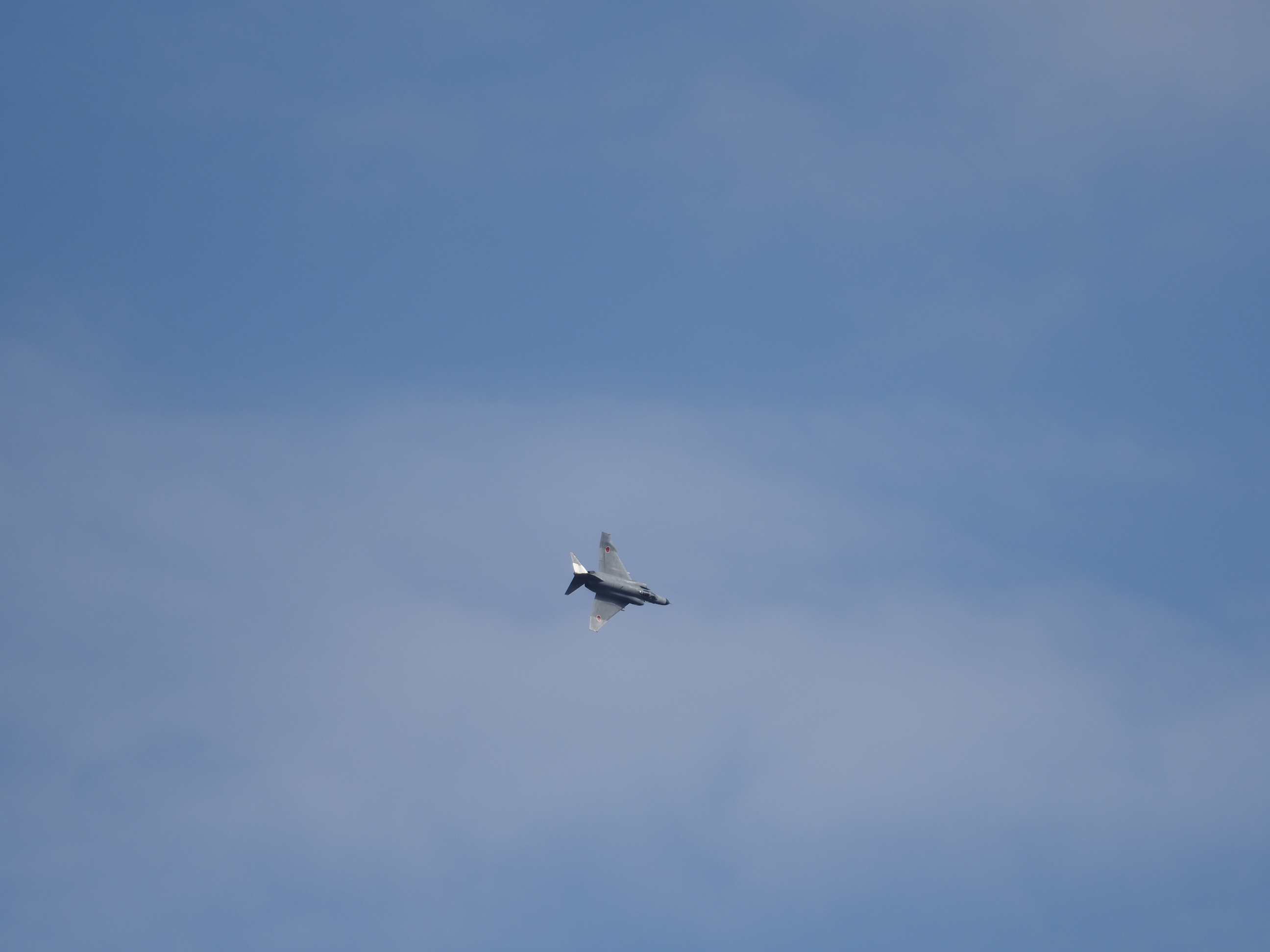 PC022506.jpg