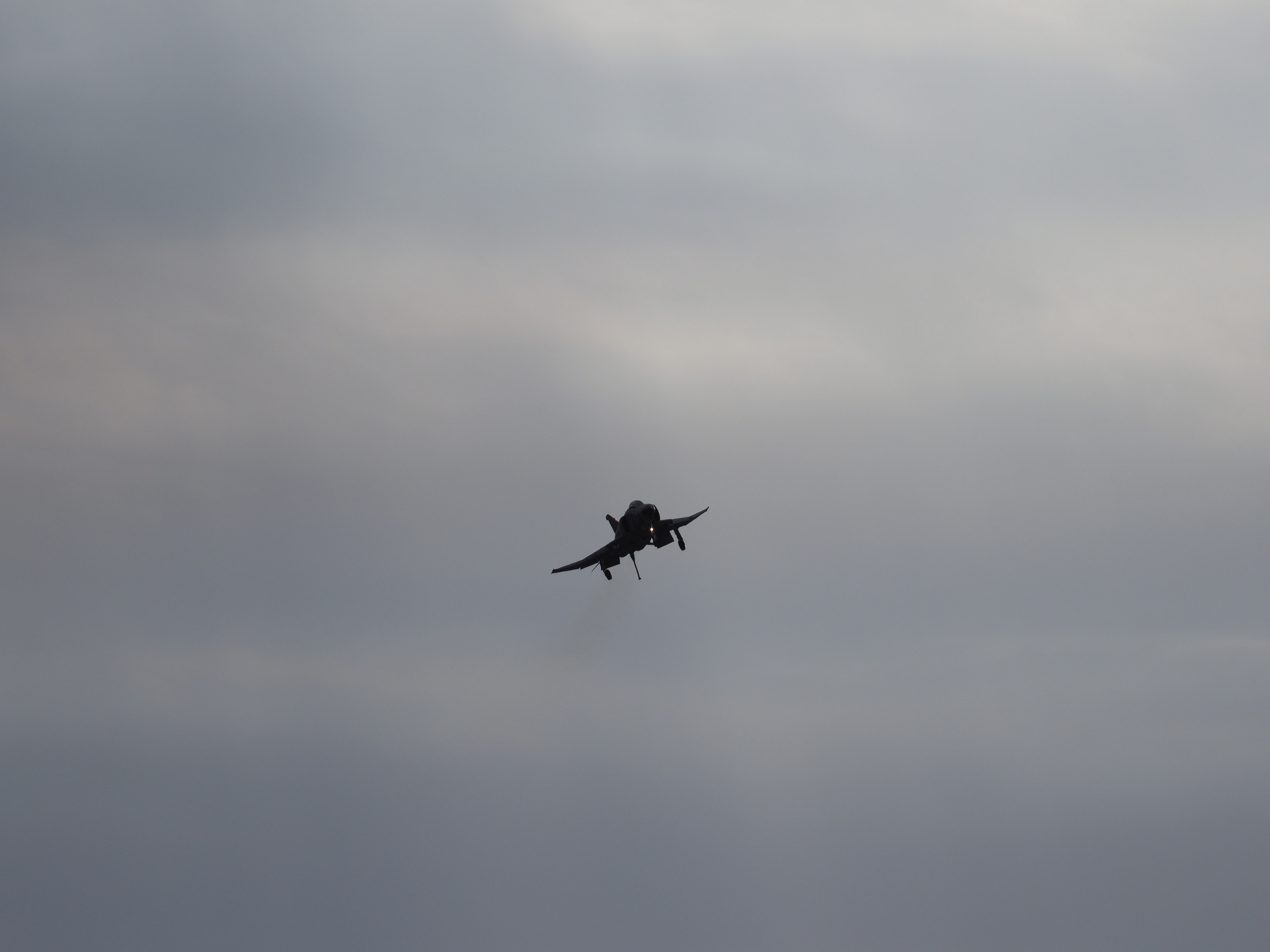 PC022526.jpg