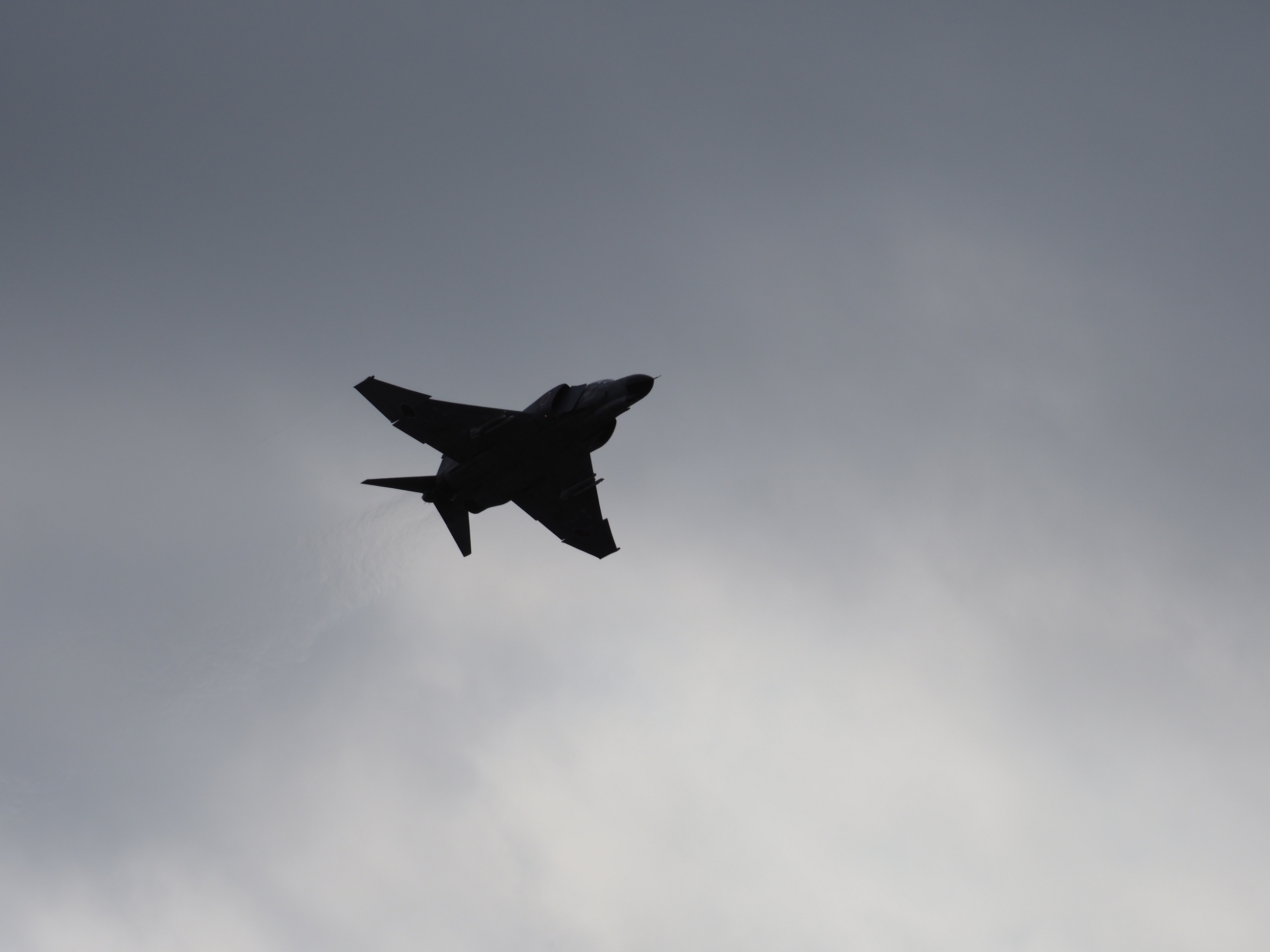 PC022612.jpg