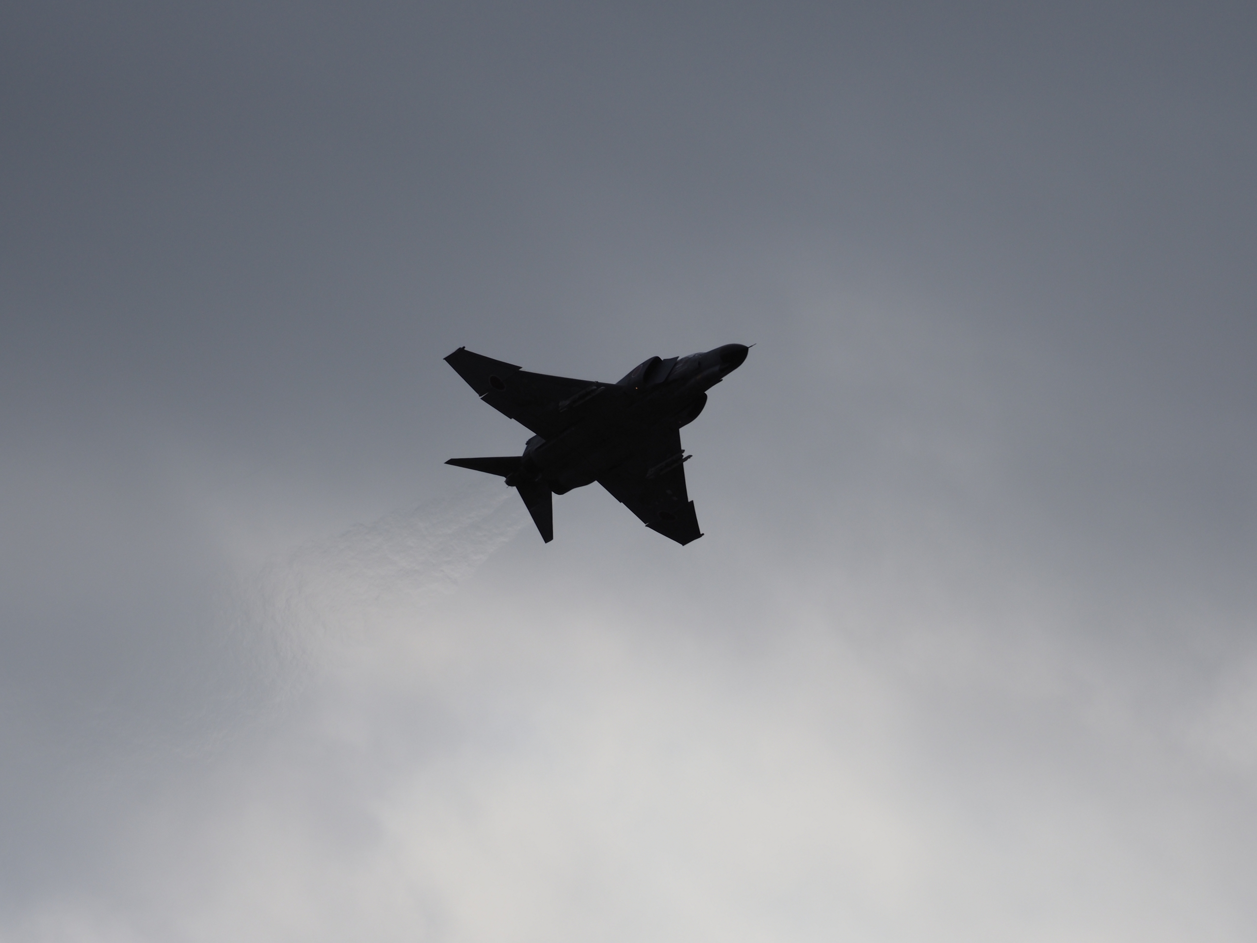 PC022613.jpg
