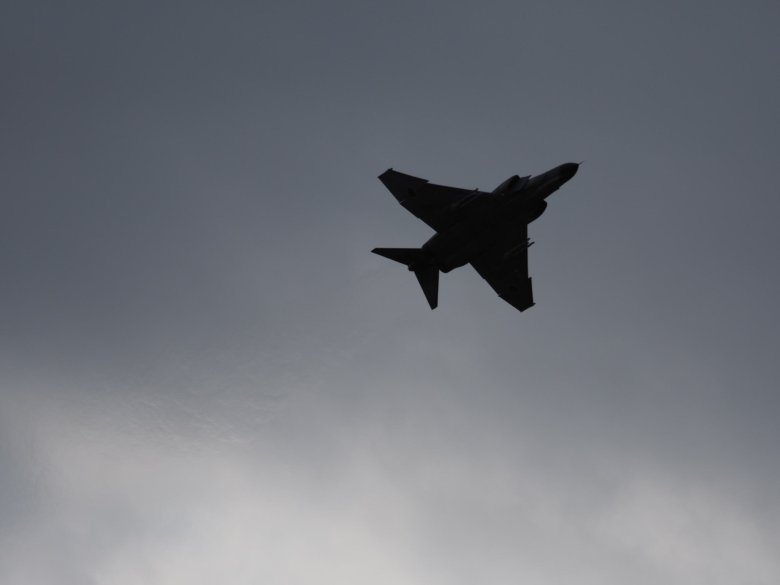 PC022615.jpg