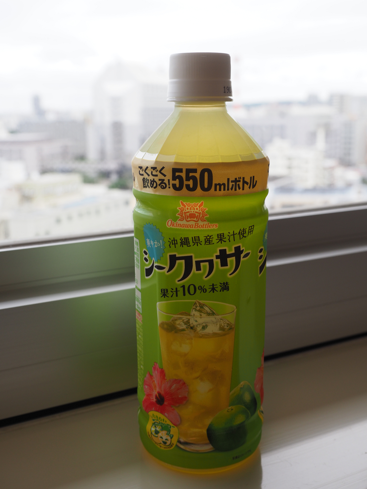PC080003.jpg