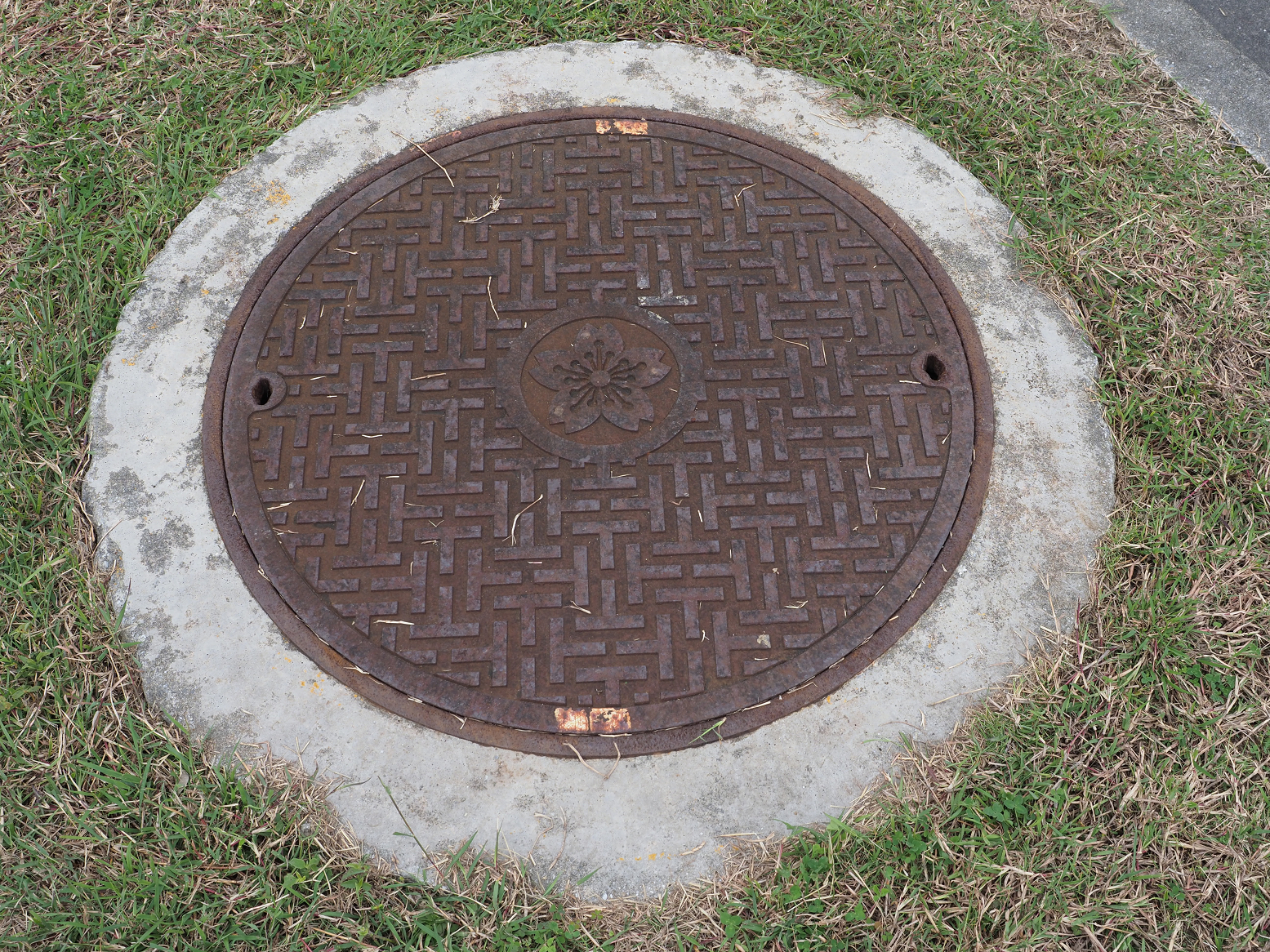 PC080031.jpg