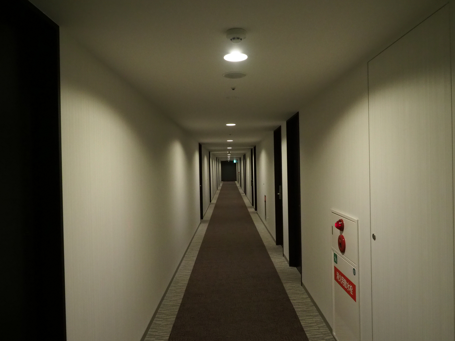 PC091090.jpg