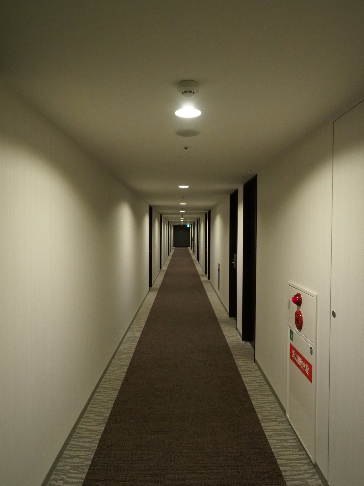 PC091091.jpg
