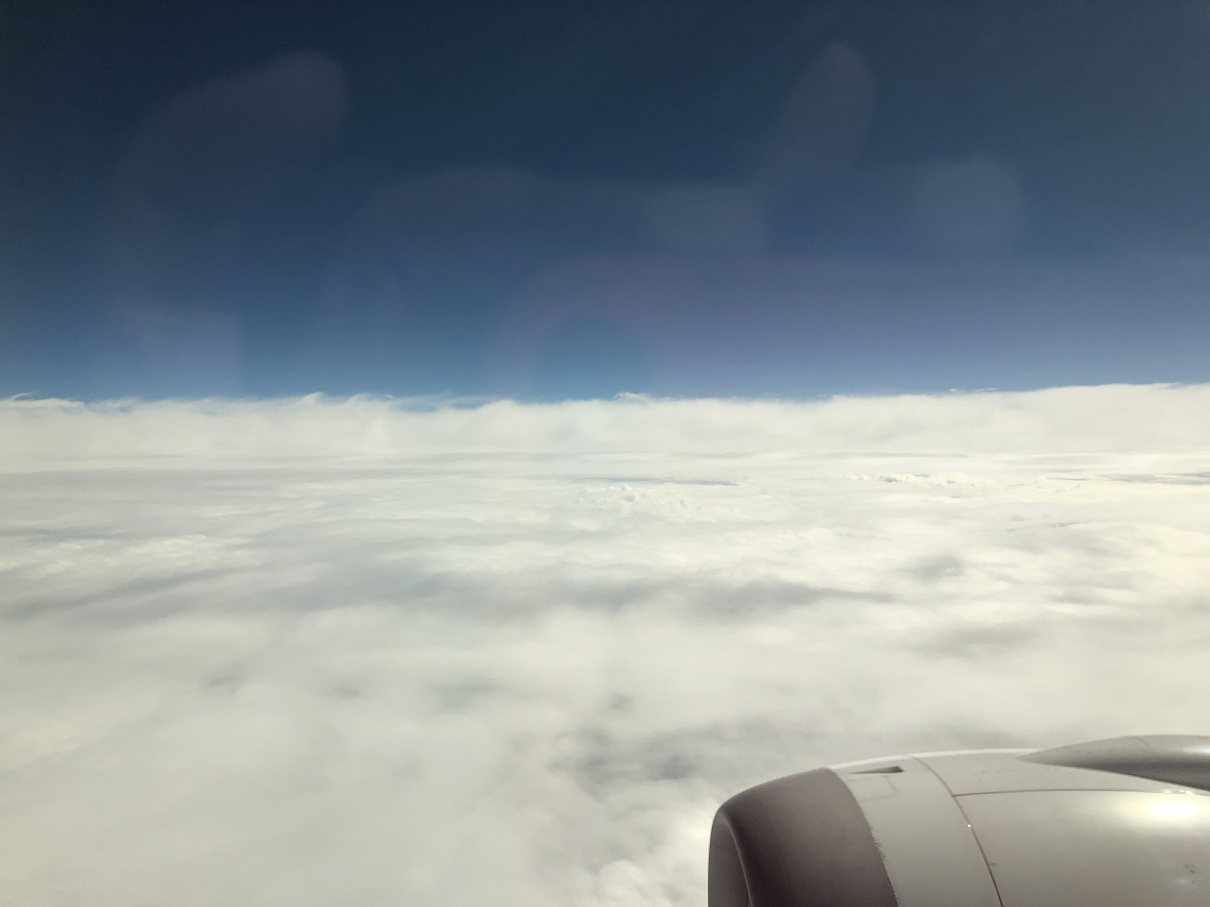 PC101105-02.jpg