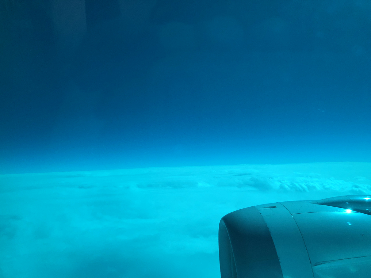 PC101105-04.jpg
