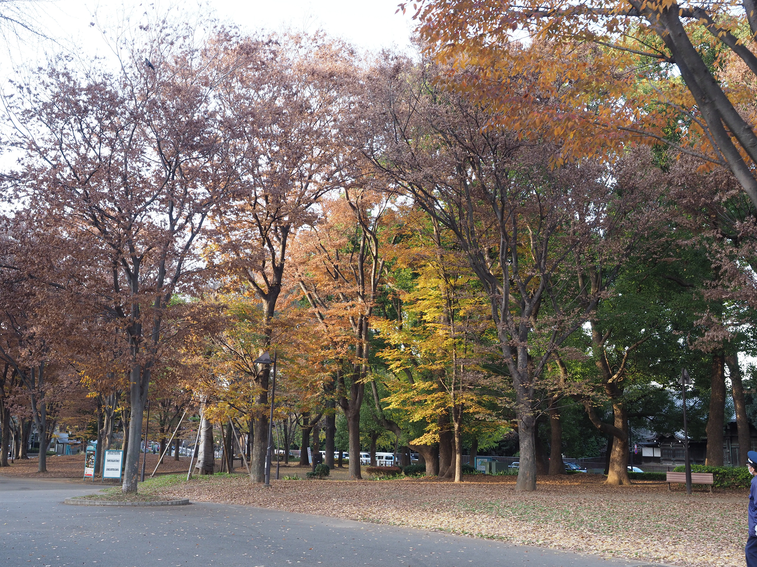 PC101113.jpg
